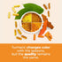 Organic Turmeric Curcumin & Black Pepper. High Absorption Joint Support Supplement with Bioperine. 95% Curcuminoids. Antioxidant Turmeric Suppleme...