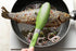 Premium Silicone Set of 2 Cooking Tongs, 9-Inch & 12-Inch BPA Free Non-Stick Stainless Steel BBQ Grilling Locking Food Tong, Light Green...