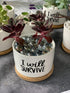 I Will Survive - Funny White Ceramic Engraved Mini Succulent Cactus Planter Pot, 1 Pack 3.5 inch Succulent Indoor Flower Plant Pots with Bamboo Tr...