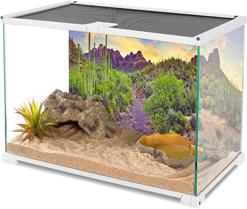 YongFoto Polyester Desert View Cactus Photo Backdrop Green Bush Rocky Purple Rock Wild West Natural Landscape Photography Background 72x18 inches ...