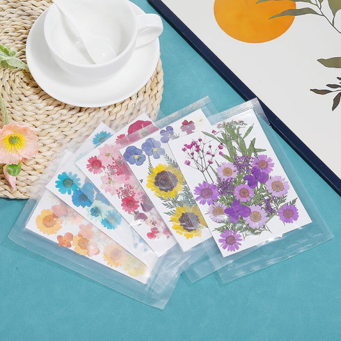 PATIKIL Dried Pressed Flowers, Natural Dried Flower Leave Assorted Real Pressed Flowers for DIY Art Crafts Resin Mold Scrapbooking, Purple Series...