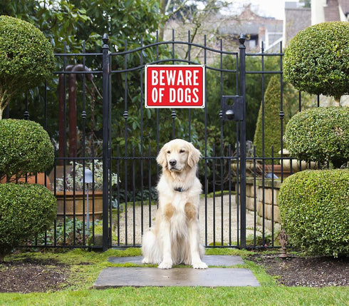 Beware of Dog Sign, Metal Warning the Dogs Signs for Fence Gate, 2 Pack 10 x 7 inches, for Indoor and Outdoor Use, No Fade Aluminum Weatherproof L...