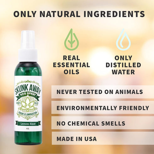 Eliminate Smoke Odor In House. Car Smoke Odor Removal. Cigarette Cigarette Smoke Odor Removal Air Freshener For Home Smoking. Smoke Odor Deodorize...
