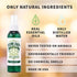 Eliminate Smoke Odor In House. Car Smoke Odor Removal. Cigarette Cigarette Smoke Odor Removal Air Freshener For Home Smoking. Smoke Odor Deodorize...