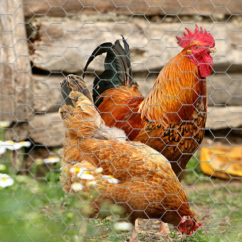 Chicken Wire 13.7 in x 236 in Poultry Wire Netting Hexagonal Galvanized Mesh Garden Fence Barrier for Craft Projects, Pet Rabbit Chicken Fencing...