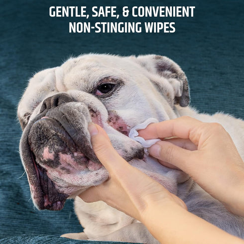 Pet MD Topical Wipes for Cleansing - with Aloe for Cats and Dogs - 50 Count...