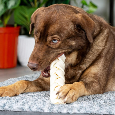 Pet Factory 100% Made in USA Beefhide 12" Braided Stick Dog Chew Treat - Natural Flavor, 1 Count/1 Pack...
