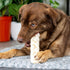 Pet Factory 100% Made in USA Beefhide 12" Braided Stick Dog Chew Treat - Natural Flavor, 1 Count/1 Pack...