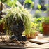 T4U Face Planter Pot, Unique Plant Pots for Indoor Plants, Head Planter, Ceramic Cool Plant Pots, Succulent Pots with Drainage Hole, Cactus Pot, P...