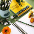 Chivao 50 Pack Camouflage Pencils Tactical Pencils Camo Party Favors Army Party Decorations Pencils Military Pencils for Teachers School Supplies ...