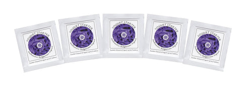 Yogurt Starter Cultures - Pack of 5 Freeze-dried Culture Sachets for Authentic Bulgarian Yogurt...