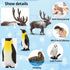Toymany 14PCS Tiny Polar Animal Figurines, Plastic Arctic Animal Figure Set includes Polar Bear,Caribou,Penguin,Walrus, Wolf Figures, Cake Toppers...