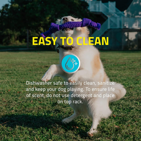 Playology Silver Dri-Tech Dental Rope Dog Toy for Medium Senior Dogs (15-35lbs) - Engaging All-Natural Peanut Butter Scented Dog Chew Toy - Non-To...