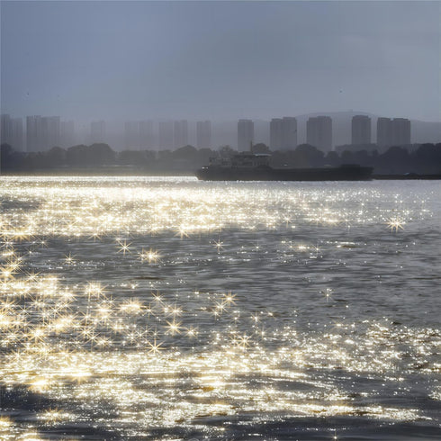 Walking Way 8 Points Star Filter 82 MM Variable Twinkle Effect Starburst Filter - Cross-screen Filter - Slim Sparkling Effect Lens Filter...