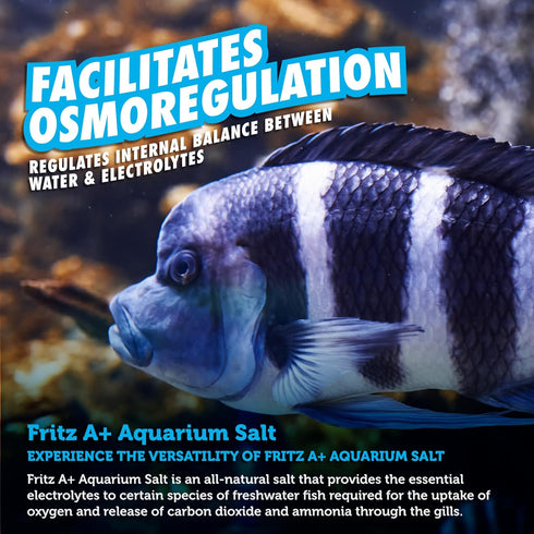 Fritz Aquatics A+ Aquarium Salt Treatment for Freshwater Fish (2 lbs)...