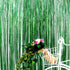 Iridescent Foil Fringe Curtains Rainforest Jungle Theme Party Supplies Birthday Wedding Party Window Door Decorations Fun Photo Booth Backdrop Pro...