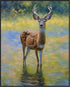 Posterizer 1 pcs- Beautiful deer standing in a shallow river-Art for Animal Lovers-Floral Botanical Art- Gift for Men Women Teens-Living Room Bed...