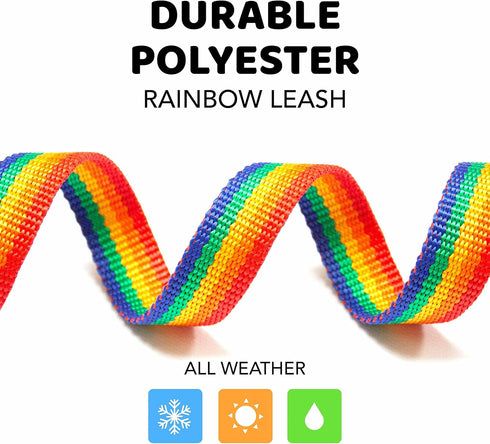 Downtown Pet Supply - Long Dog Leash - Dog Training Leash - Recall & Obedience Dog Training Tools - Nylon - 50 ft - Rainbow Dog Leash...