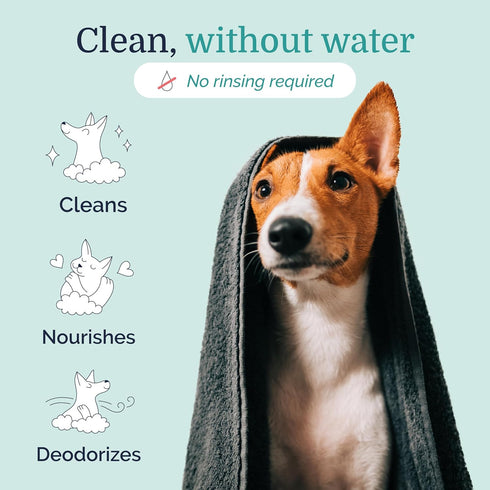 Hepper Waterless No Rinse Dry Shampoo for Dogs, Cats, and Other Pets. Dry Shampoo Foam in Only One Pump. No Rinse, No Bath, No Fuss —Just Brush. D...
