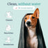 Hepper Waterless No Rinse Dry Shampoo for Dogs, Cats, and Other Pets. Dry Shampoo Foam in Only One Pump. No Rinse, No Bath, No Fuss —Just Brush. D...