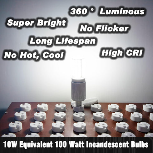 12 Volt 24V Low Voltage E26 Medium Screw Base LED Bulbs 6000K Daylight White 10W Equivalent 100 Watt Bulb AC12-36V/DC10-48V for RV Camper Landscap...