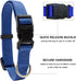Dog Collar and Leash Set, Nylon Collar and Leash for Dogs Classic Solid Colors for Small Medium Large Dogs (Blue, Medium, Collar 14-20", 3/4")...