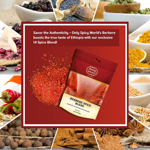 Spicy World Berbere Spice Blend | Authentic Ethiopian Seasoning Hand-Blended | Rich 14-Spice Mix for Flavorful Dishes (14 oz)...