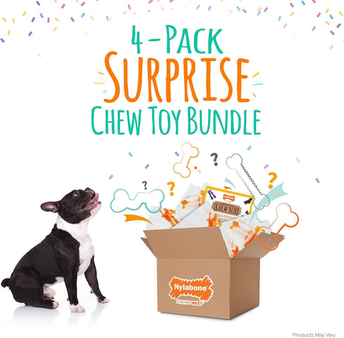Nylabone Chew Toy Dog Surprise Box Variety Small/Regular (1 Count)...