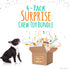 Nylabone Chew Toy Dog Surprise Box Variety Small/Regular (1 Count)...