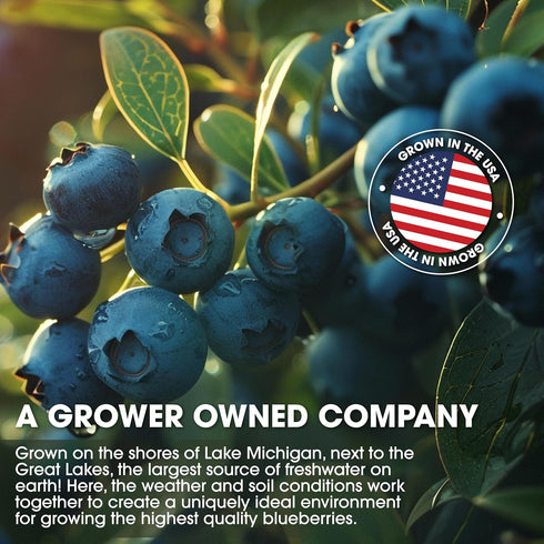 Cherry Bay Orchards - Dried Blueberries - (6oz Bag) -100% Domestic, Natural, Kosher Certified, Gluten-Free, and GMO Free - Packed in a Resealable ...
