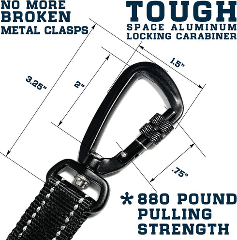 Nylon Dog Leash with Locking Carabiner for Large Medium Small Breeds – Heavy Duty Reflective Nylon Lead with Padded Handle for Everyday Walking, R...