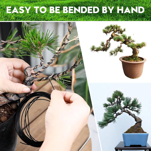 Riboud Bonsai Training Wire, Aluminum Bonsai Wire for Crafts 5-Size Starter Set- 1.0mm, 1.5mm, 2.0mm, 2.5mm, 3.0mm (161 feet Total, Black)...