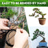 Riboud Bonsai Training Wire, Aluminum Bonsai Wire for Crafts 5-Size Starter Set- 1.0mm, 1.5mm, 2.0mm, 2.5mm, 3.0mm (161 feet Total, Black)...