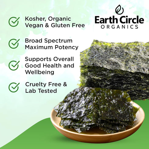 Earth Circle Organics | Organic Nori Seaweed Sheets - Raw, Unheated & Not Roasted | Grade A Certified | Vegan, Paleo, Keto Friendly | Premium Nori...