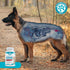 Wanderfound Pets Ultimate Cranberry Bladder UTI Support Supplement for Dogs - Dog Urinary Tract Infection Incontinence Formula with Cordyceps Mush...