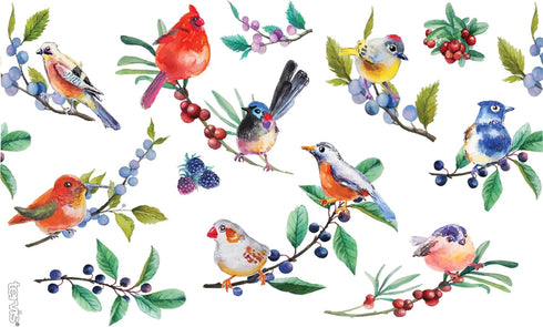 Tervis Watercolor Songbirds Made in USA Double Walled Insulated Tumbler Cup Keeps Drinks Cold & Hot, 16oz, Clear...