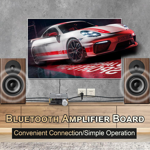 C50HS Bluetooth Amplifier Board TPA3116D2 HiFi Chip 12-24V DC Input,Support USB Sound Card/USB Flash Driver, AUX, Bluetooth Multiple Input Modes (...