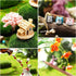 3Pcs Garden Miniature Accessories, Garden Kit, Garden Animals, Resin Miniature Figurines Dollhouse Accessories Micro Landscape Ornaments for DIY K...