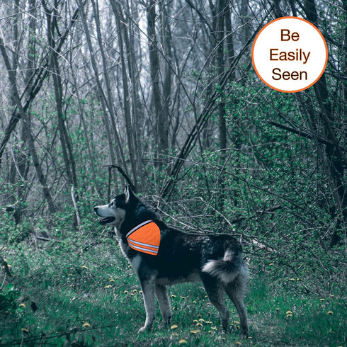 Reflective Dog Bandana Velcro Safety Scarf 2 Pack Orange Dog Reflective Gear...
