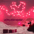 Christmas Pink Mini String Lights - 100 Count 25 Feet Detachable Incandescent Bulb Waterproof Fairy Lights Plug in for Indoor Outdoor Party Patio ...