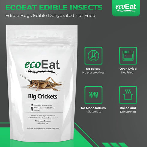 Edible Insects Big Black Crickets to Eat – Edible Bugs Edible Dehydrated Crickets - Snack Food Gifts (15g)...