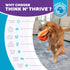 Outward Hound Nina Ottosson Stuff N' Snuffle Interactive Plush Dog Puzzle and Snuffle Ball for Dogs, Snuffle Ball, Dog Enrichment Toys, Plush, Mul...