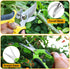 2 Packs Pruning Shears, Garden Shears, Garden Scissors, Garden Pruners Stainless Steel Pruning Shears for Gardening, Garden Clippers, Gardening To...