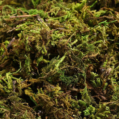 VOSAREA 1 Pack Artificial Moss Fake Lichen Simulation Green Faux Pot Moss for DIY Miniature House (About 60g)...