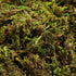 VOSAREA 1 Pack Artificial Moss Fake Lichen Simulation Green Faux Pot Moss for DIY Miniature House (About 60g)...