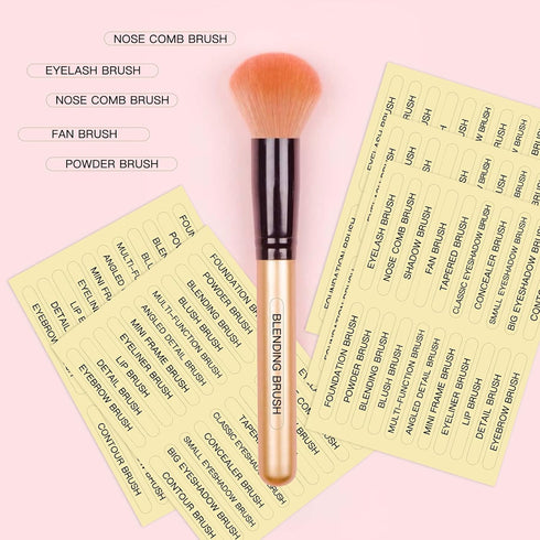 210 PCS Makeup Brush Label Stickers,Waterproof Brush Name Labels,Self-adhesive Foundation Brushes Labels for Beauty Salon and Personal Use(Clear,1...