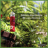 Pennington Planter Hummingbird Feeder 2 Pack 2.3 Ounce Capacity...