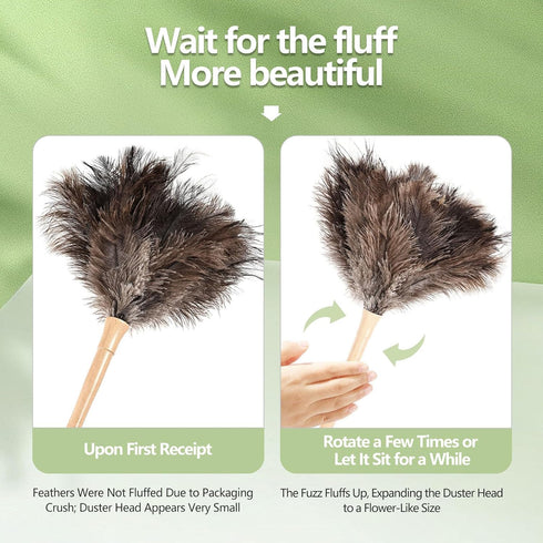Ostrich Feather Duster, 16-Inch, Indulge in Effortless Elegance with Premium Reusable Design for Thorough, Eco-Friendly Cleaning of Delicate Items...