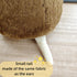 FRANKIEZHOU Realistic Quokka Stuffed Animal- Brown11.8,Kangaroo Plush Toy Soft Kawaii Plush Toy for Kids,Girl Toys,Gifts for Kids, Baby Gift,Home ...