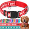 TECEUM Reflective Pet Collar – Red - Service Dog – S – Basic Nylon Dog Collar – Quick Release Buckle – Fits Small, Medium and Large Dogs, Puppies,...